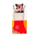 Julstrumpa till Hamster
