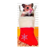 Julstrumpa till Hamster