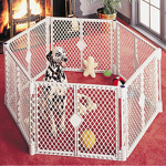 Petsters robusta Pet Yard hage