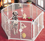 Petsters robusta Pet Yard hage